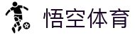 悟空体育(WKSPORTS)官方网站